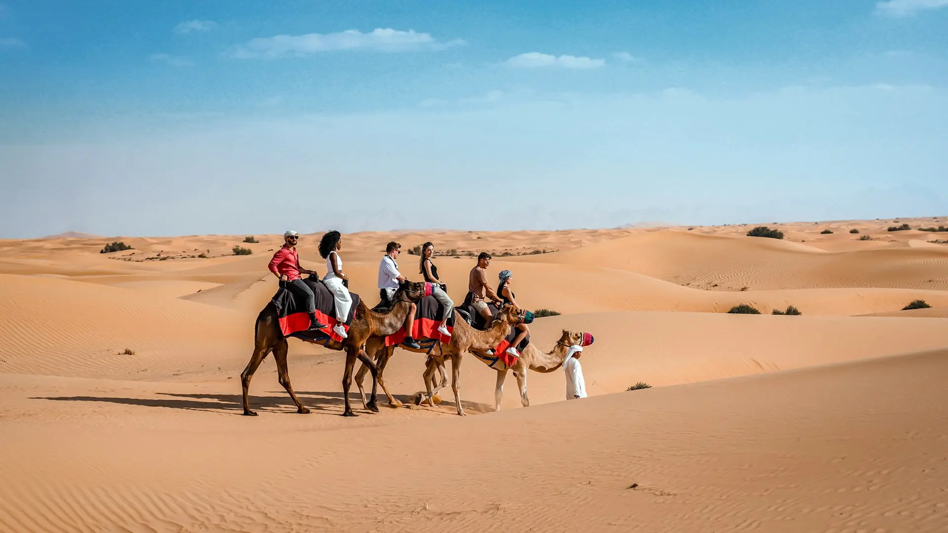 Why a Morning Desert Safari Dubai is Perfect for Everyone?